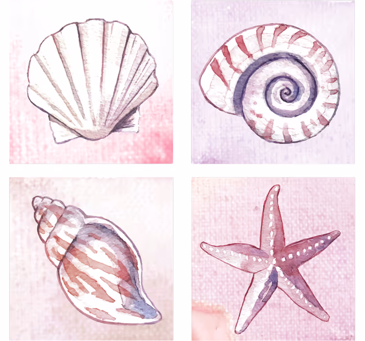 Sea Life marine life coasters - TenStickers