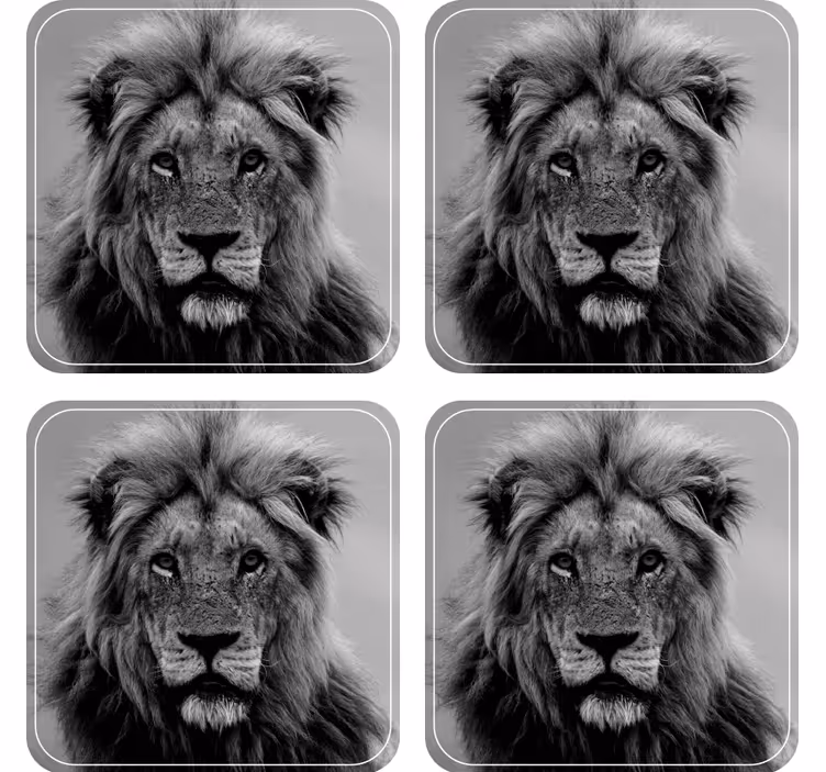 Modern coasters with majestic lion portraits - TenStickers