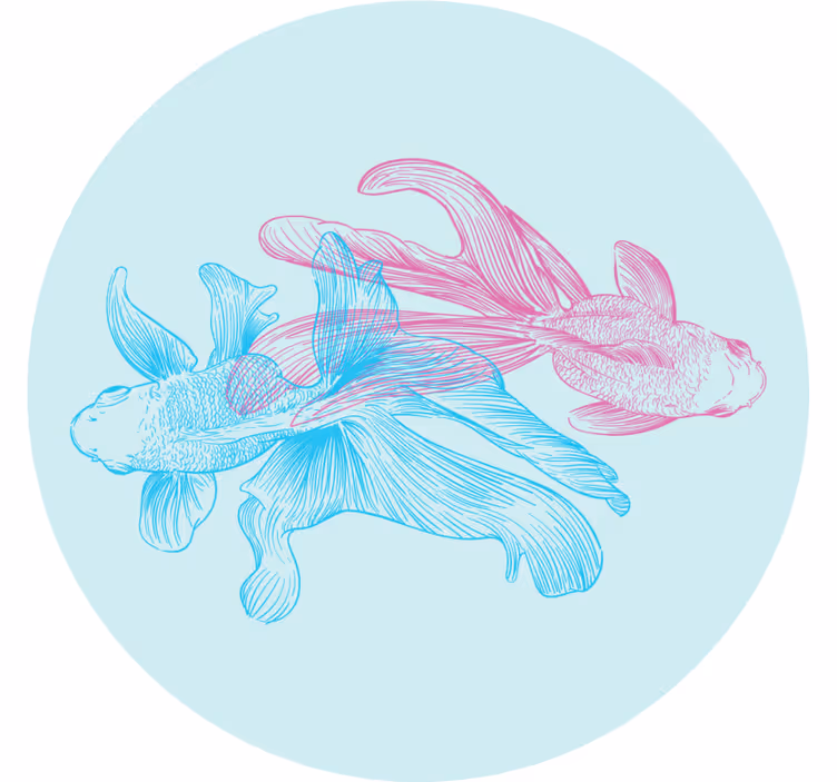 Geek coasters with two-toned fish designs - TenStickers
