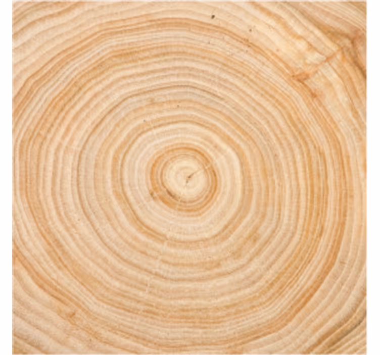 Coasters wood grain circle - TenStickers