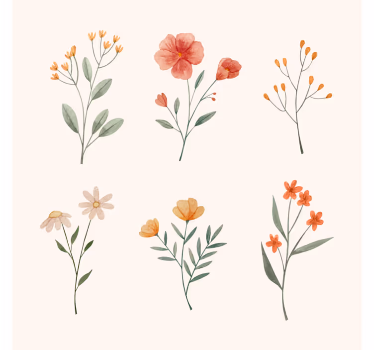 Flower set modern coaster - TenStickers