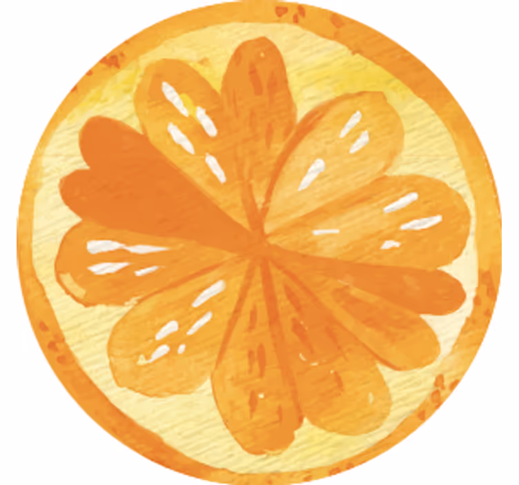 Grapefruit and orange slices modern coaster - TenStickers