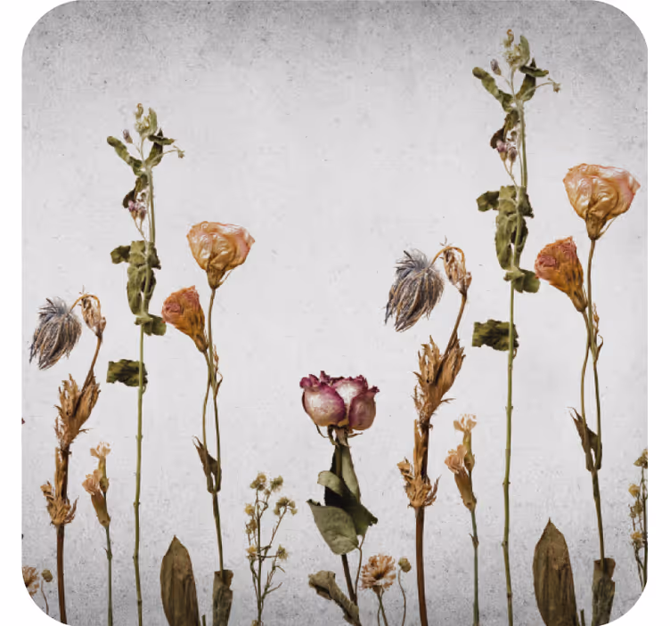Coasters dried floral arrangement - TenStickers