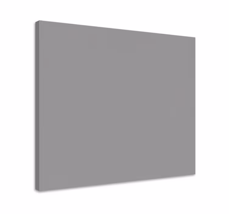 Modern canvas art in plain grey design - TenStickers