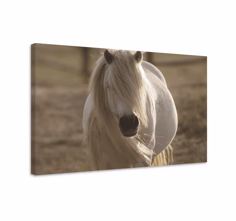 Horse wall art white-faced horse decor - TenStickers