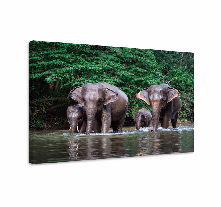 Elephant wallart jungle with animals - TenStickers