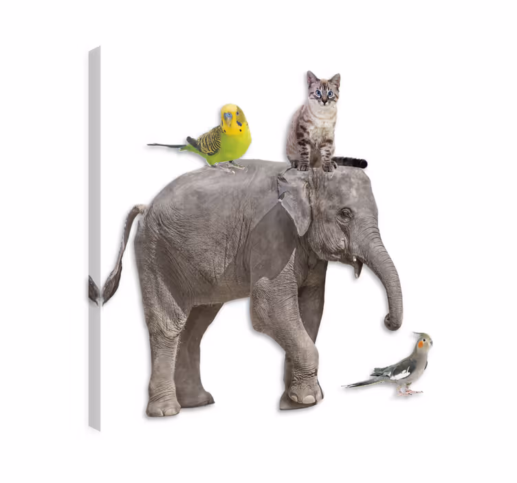 Elephant wallart with various animal designs - TenStickers