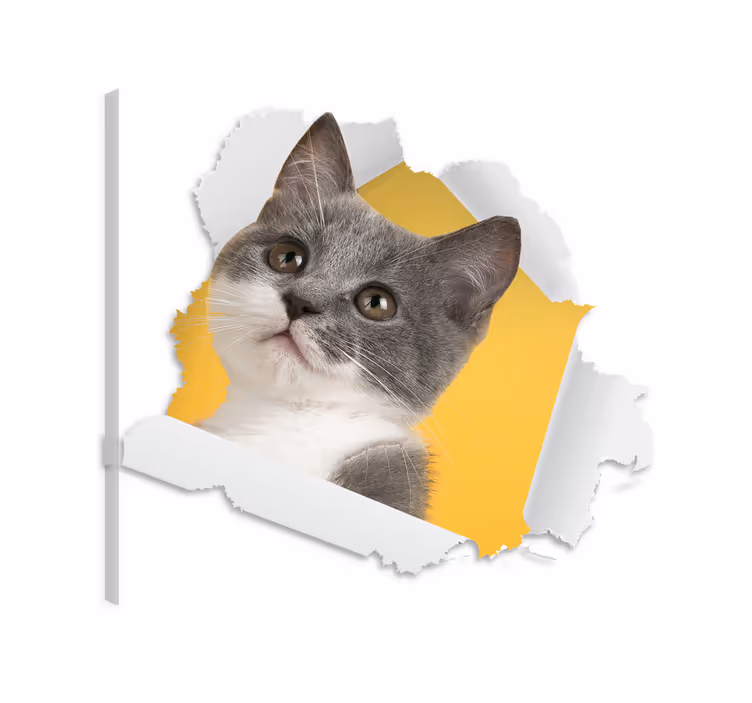 Cat wall art 3d cat wall sticker - TenStickers