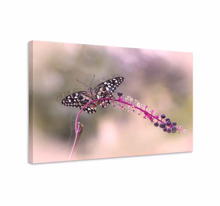 Purple butterfly butterfly canvas - TenStickers