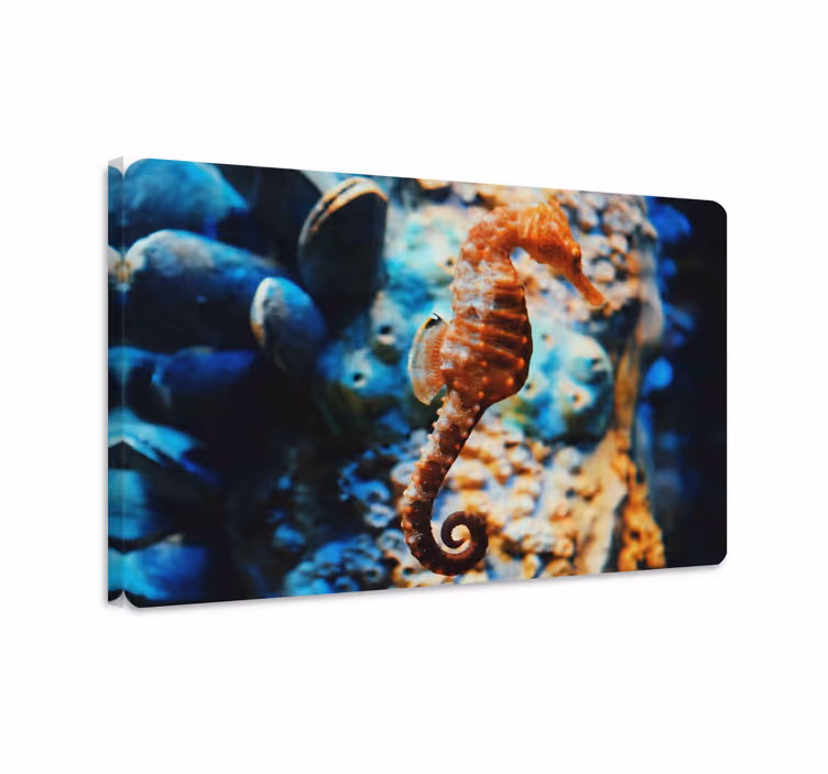 Fish canvas marine background - TenStickers