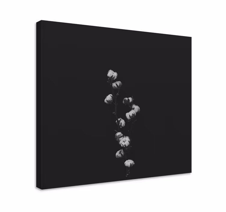 Cotton Plant canvas prints - TenStickers