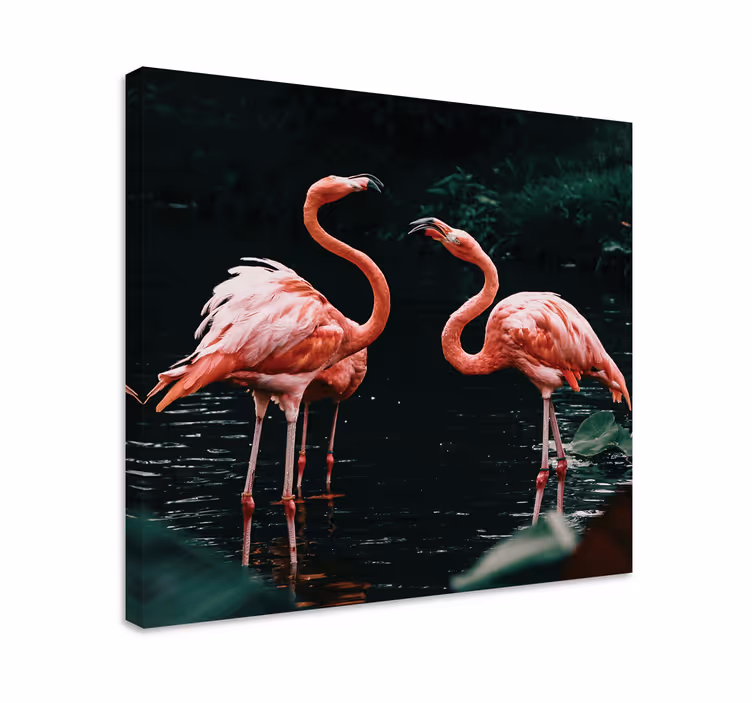 Couple of flamingos animal canvas prints - TenStickers
