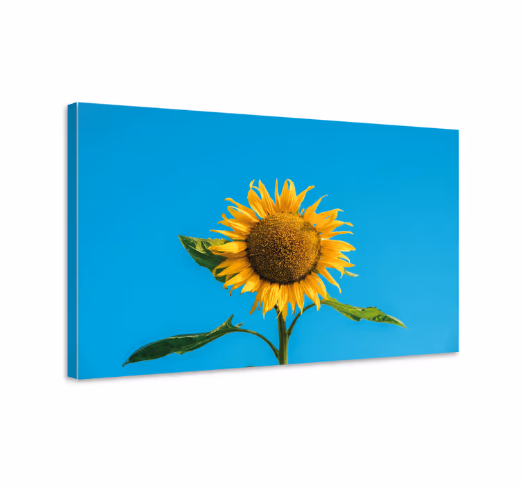 Flowers canvas radiant sunflower blossom - TenStickers