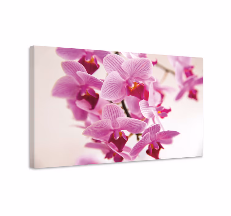 Flowers canvas delicate orchid blooms - TenStickers