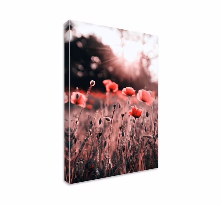 Poppy meadow radiance flowers canvas - TenStickers