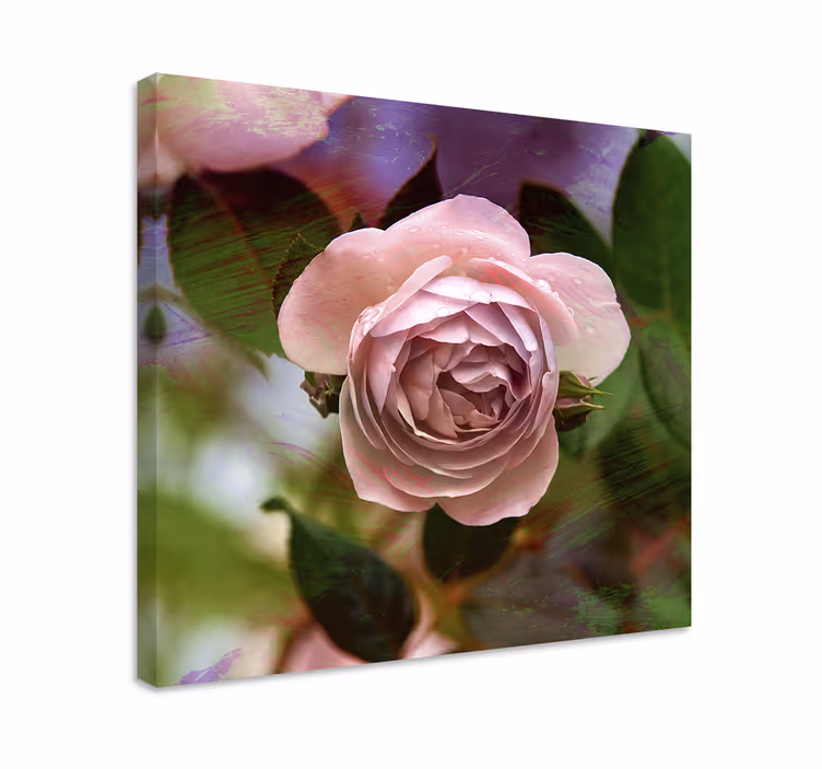 Flowers canvas pink rose blossom art print - TenStickers