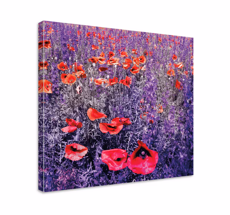 Luminous poppy field flowers canvas - TenStickers