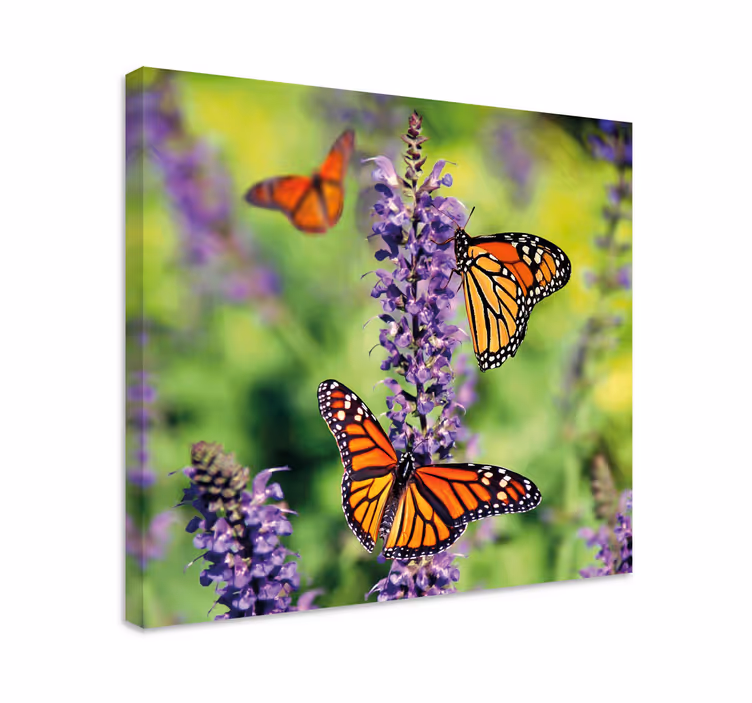 Elegant design of flower canvas - TenStickers