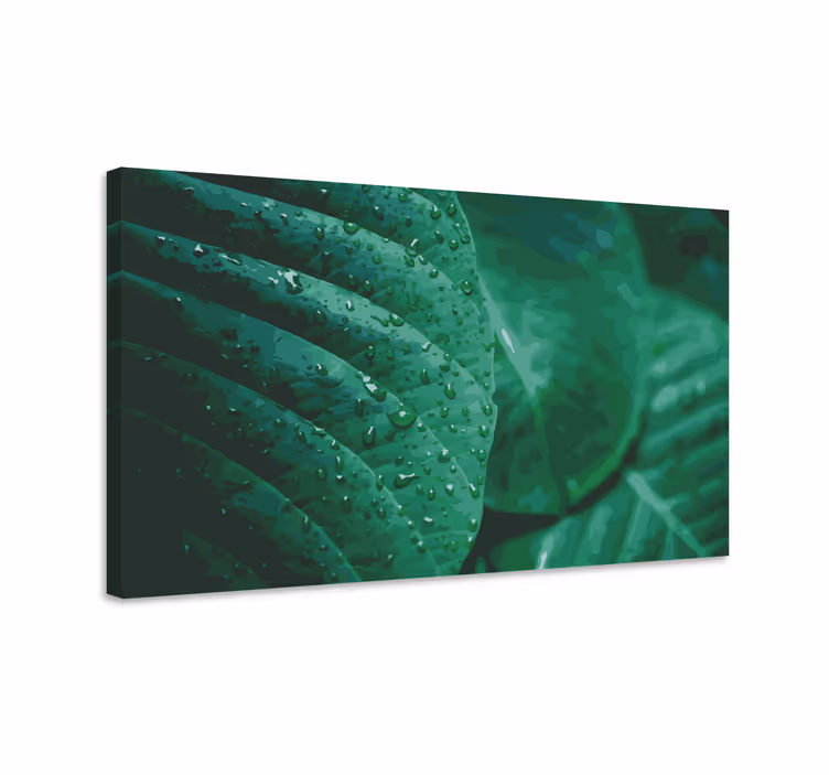 Rain water on leaves Plant canvas prints - TenStickers