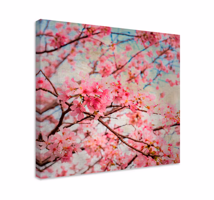 Cherry blossom blooms flowers canvas - TenStickers