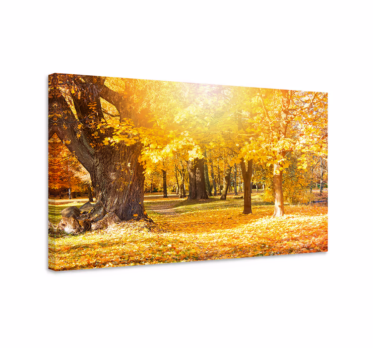 Sun's rays in an autumn forest  landscape canvas - TenStickers