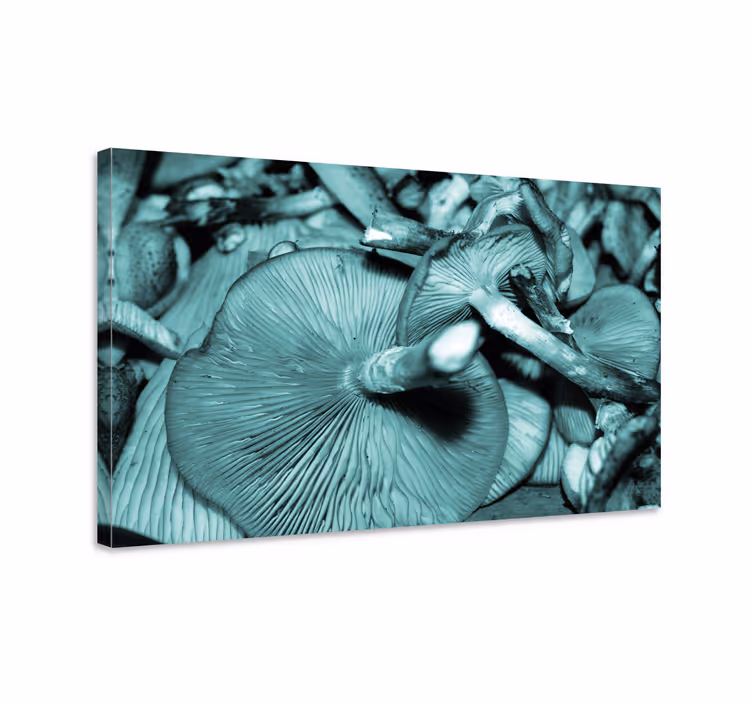 Flowers canvas mushroom bloom - TenStickers