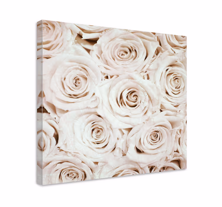 Flowers canvas gentle rose blossom art print - TenStickers