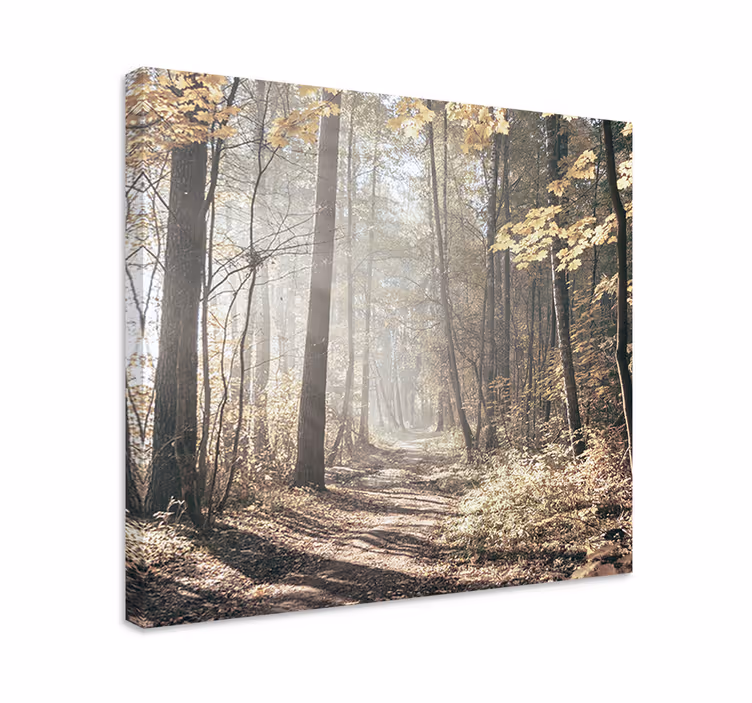 Mist covered path landscape canvas - TenStickers