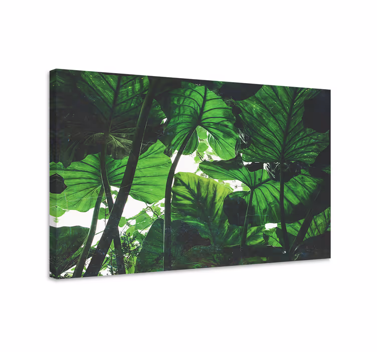 Beautiful green rainforest landscape canvas - TenStickers