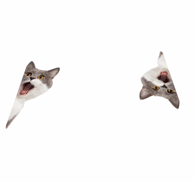 Animal mat cat peeking on white background - TenStickers