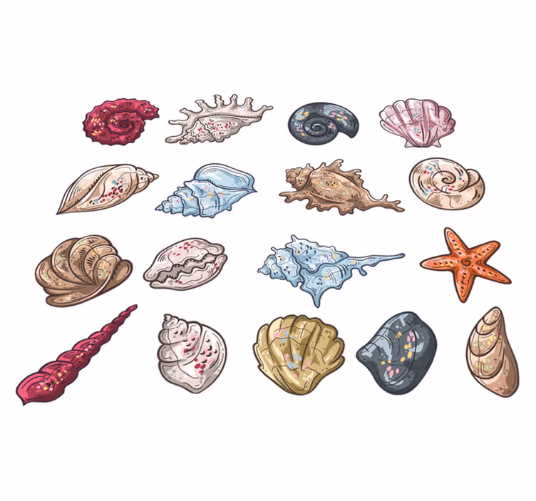 Animal mat seashell drawings - TenStickers