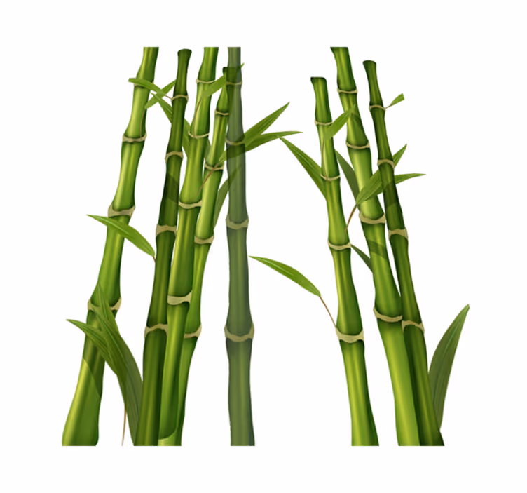 Bamboo pattern bathroom mat - TenStickers
