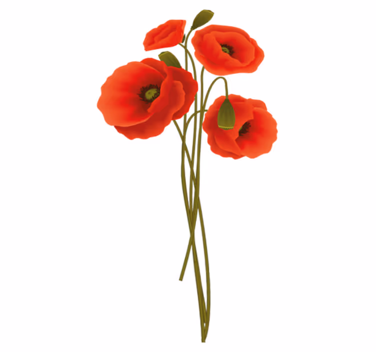 Bathroom mat with delicate poppies design - TenStickers