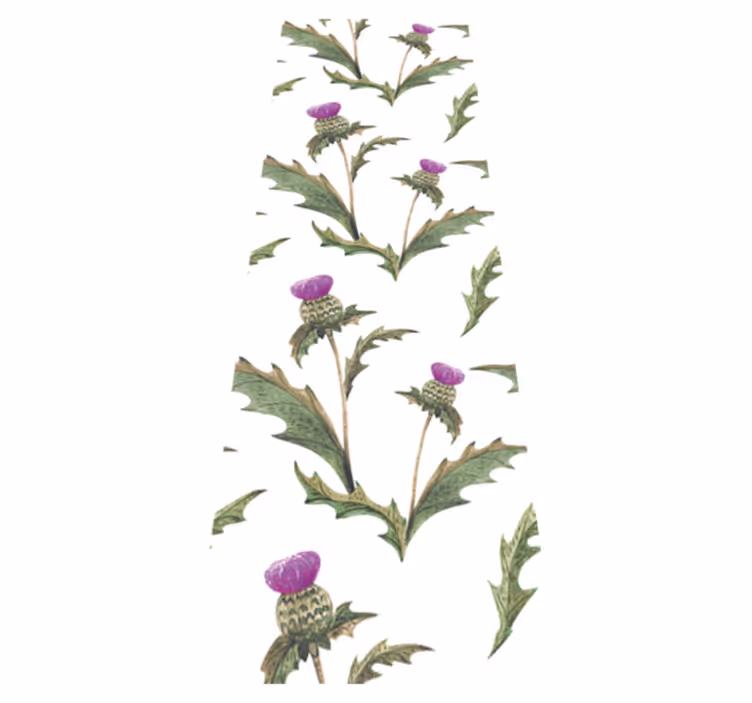 Scottish thistles bedroom carpet - TenStickers