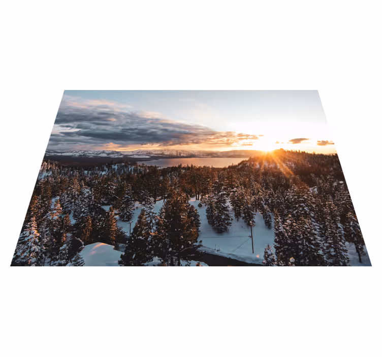 Nature rug lush forest scenery - TenStickers