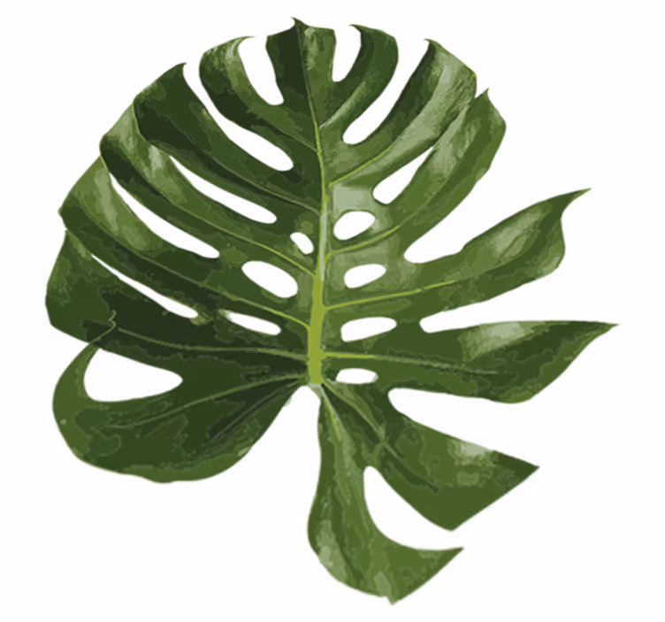 Floral rug with delicious monstera leaf design - TenStickers