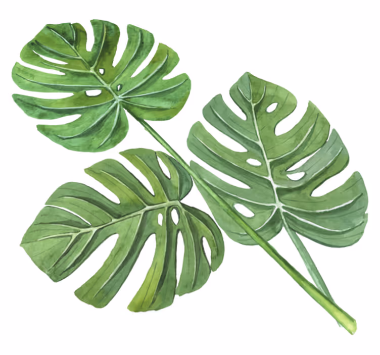 Floral rug with monstera watercolor leaves design - TenStickers