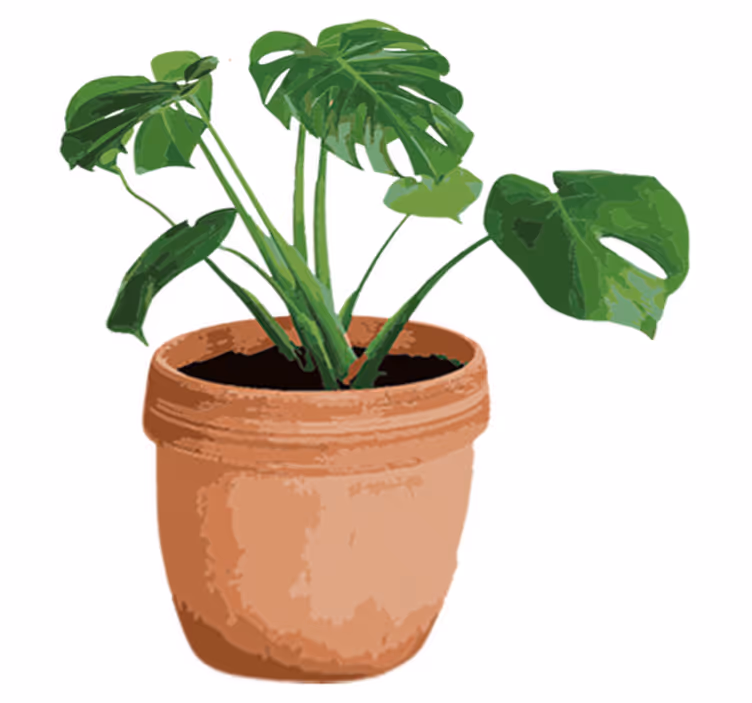 Floral rug simple monstera pot - TenStickers