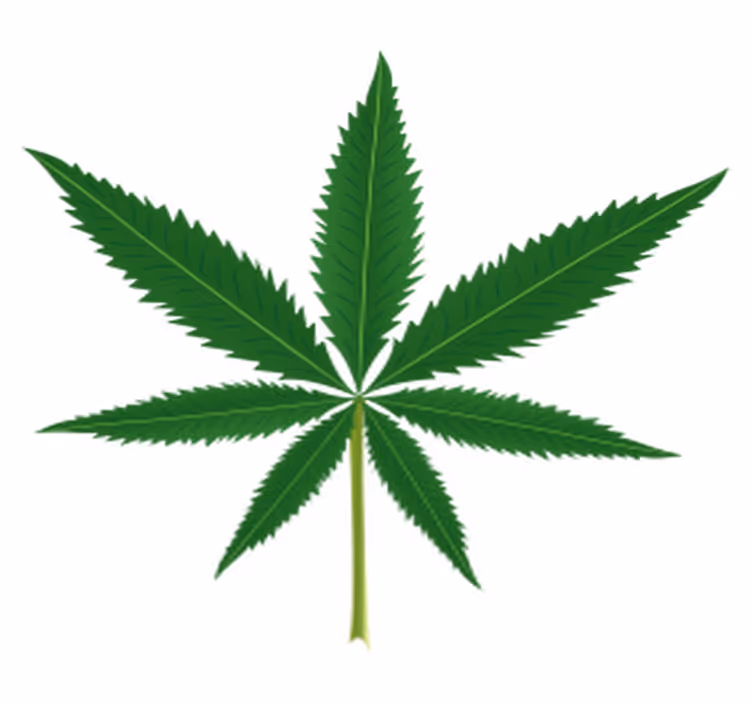 Floral rug with cannabis leaf design - TenStickers