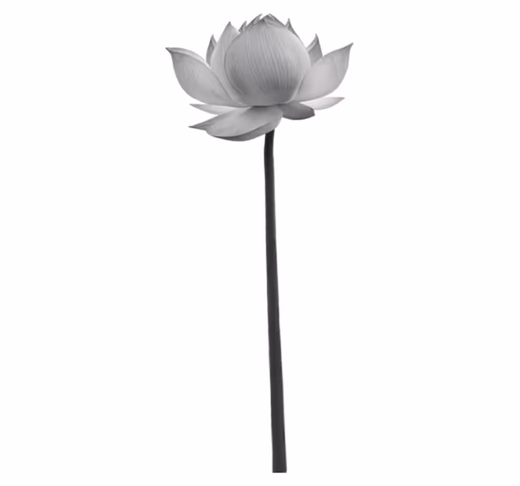Bedroom carpet lotus solitary bloom - TenStickers