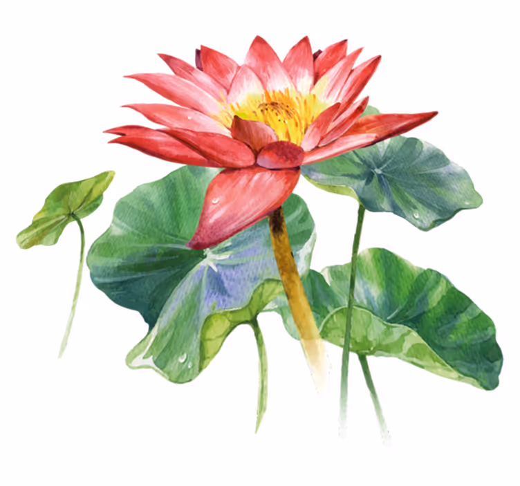 Bedroom carpet lotus watercolor illusion - TenStickers