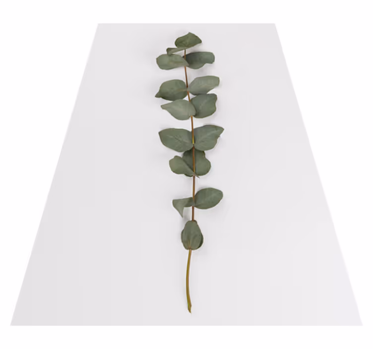 Floral rug with eucalyptus leaves design - TenStickers