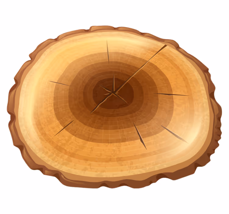 Round tree wood vinyl carpet - TenStickers