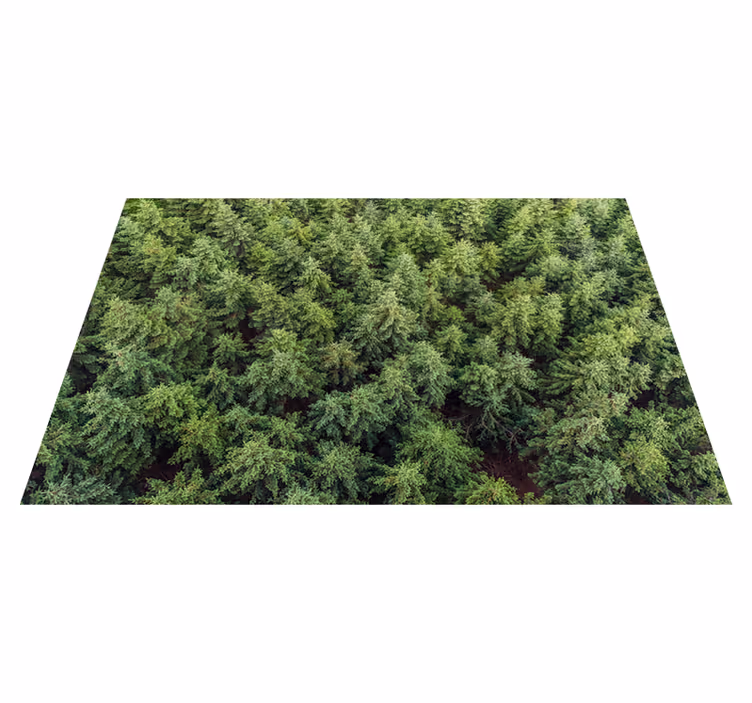Aerial Forest View nature rug - TenStickers
