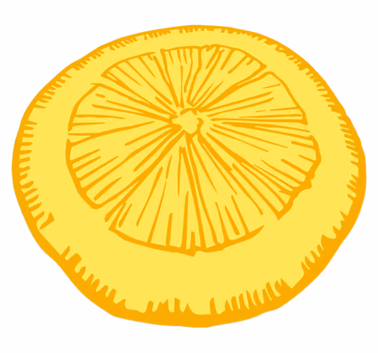 Yellow citrus slice kitchen mat - TenStickers