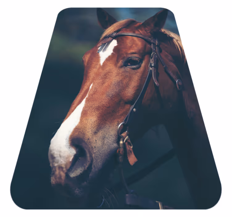 Majestic horse head animal mat - TenStickers