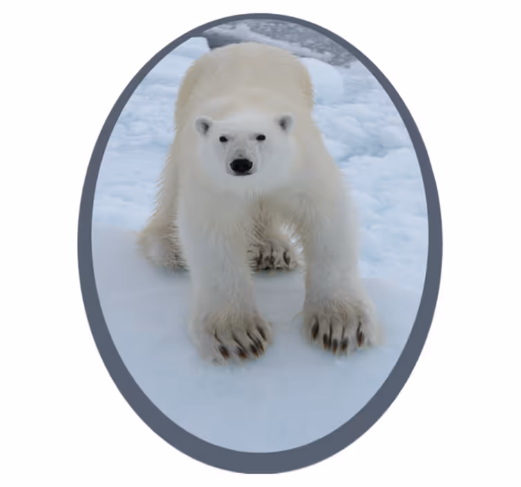 Polar bear image animal mat - TenStickers