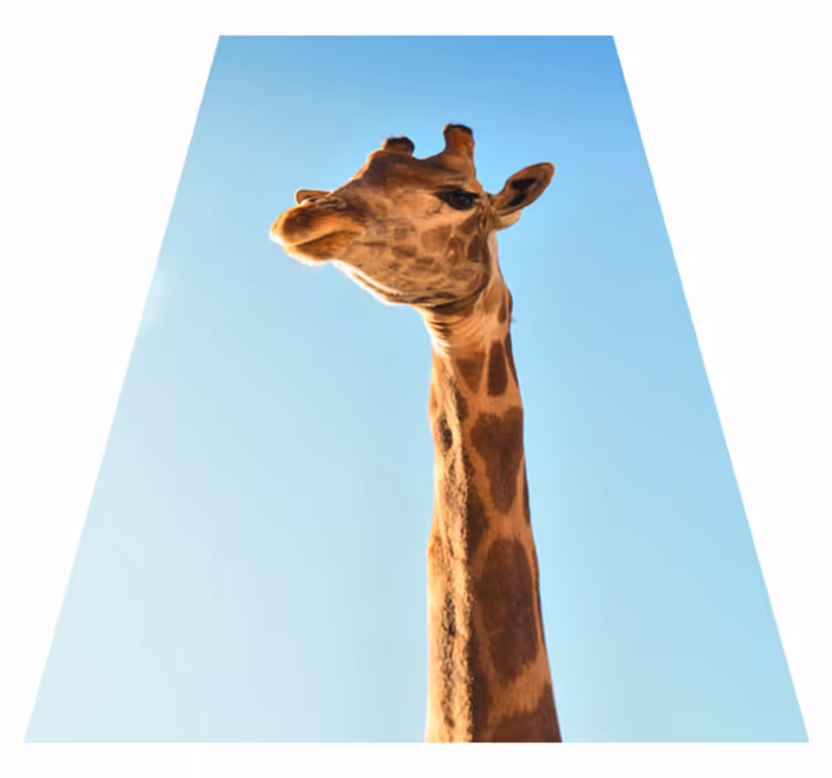 Giraffe headshot animal mat - TenStickers