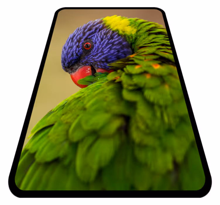 Colorful parrot portrait animal mat - TenStickers