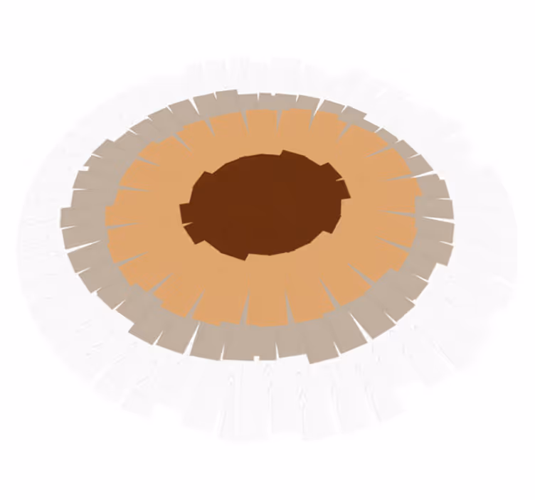 Circular trunk design wood effect rug - TenStickers